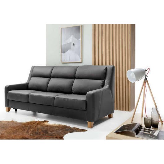 leather sofa bed Way 3
